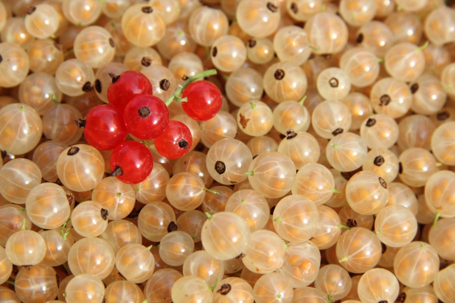 Белая смородина вкус