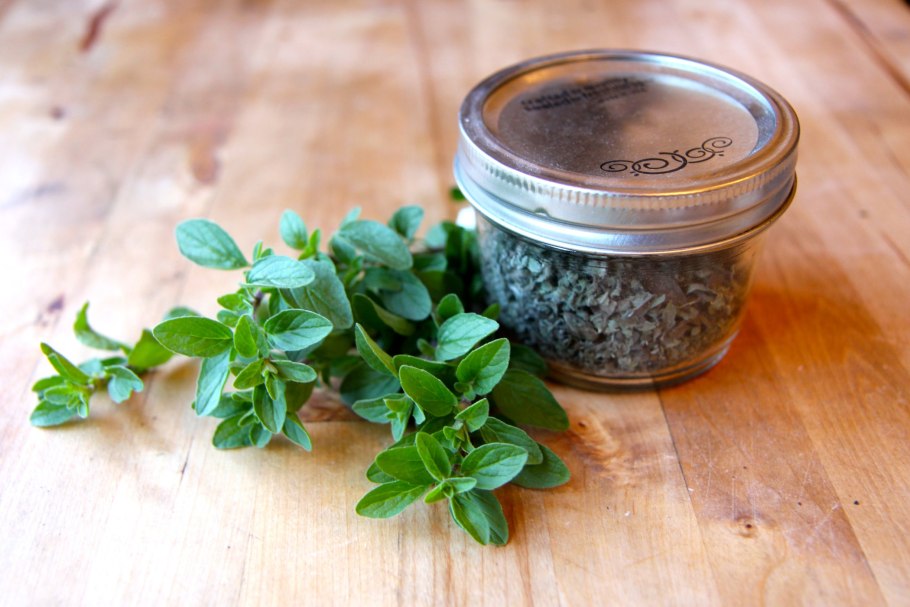 Пряные травы названия