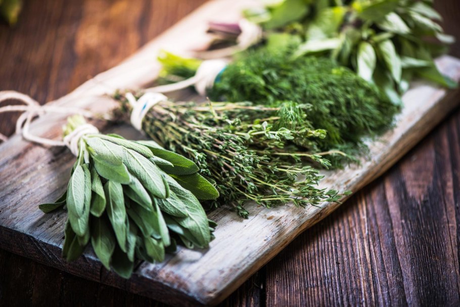 Пахизандра почвопокровная