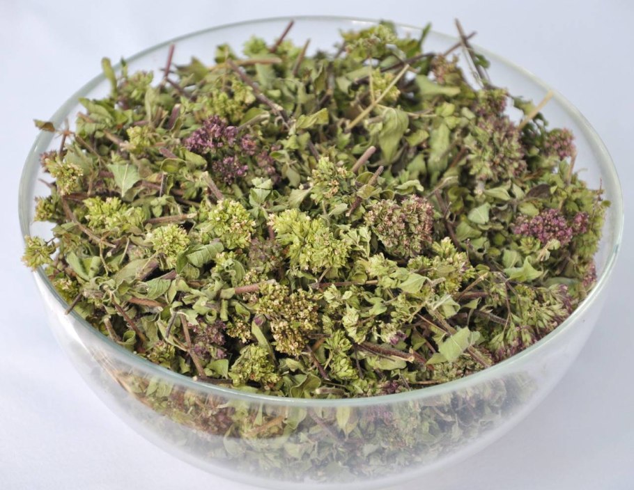 Лечебные лекарственные травы чабрец