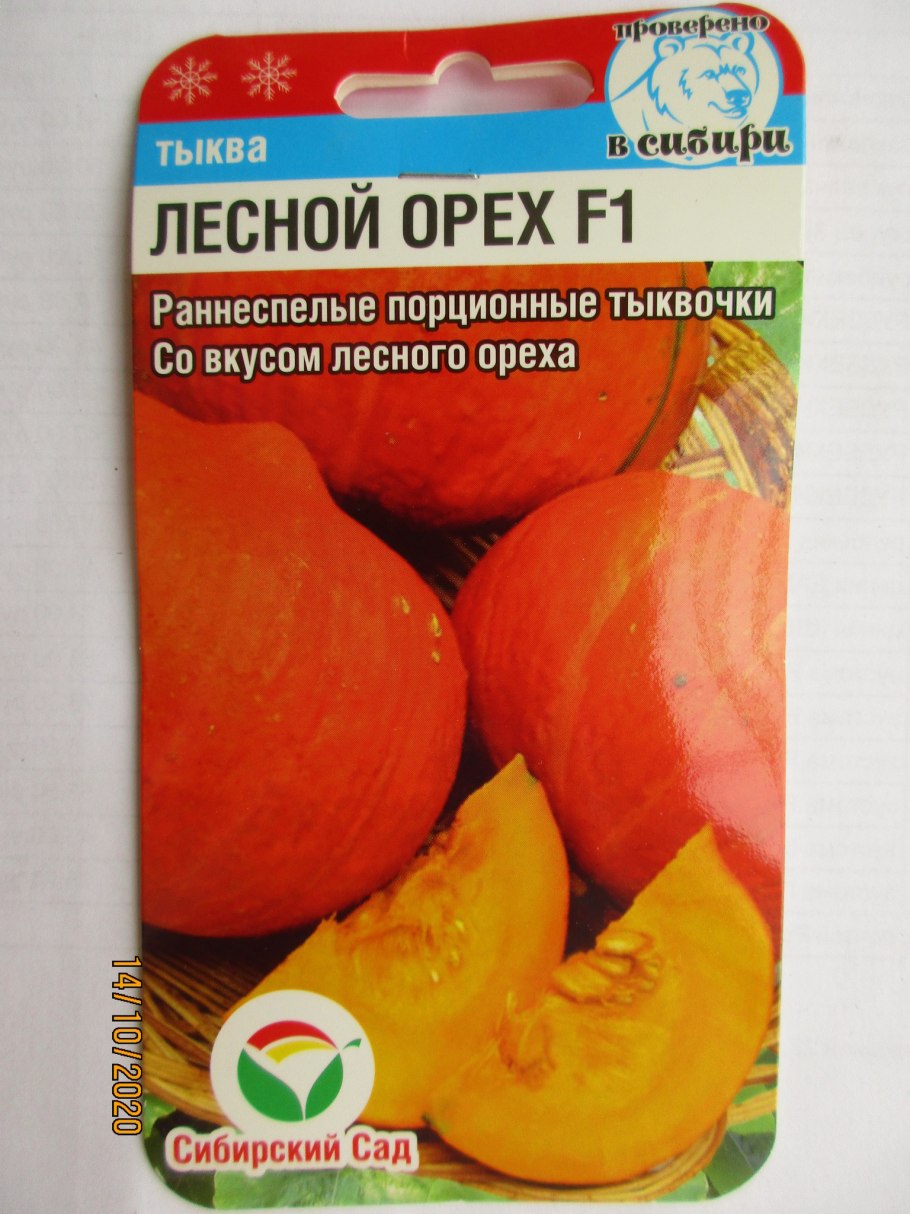 Тыква русский огород