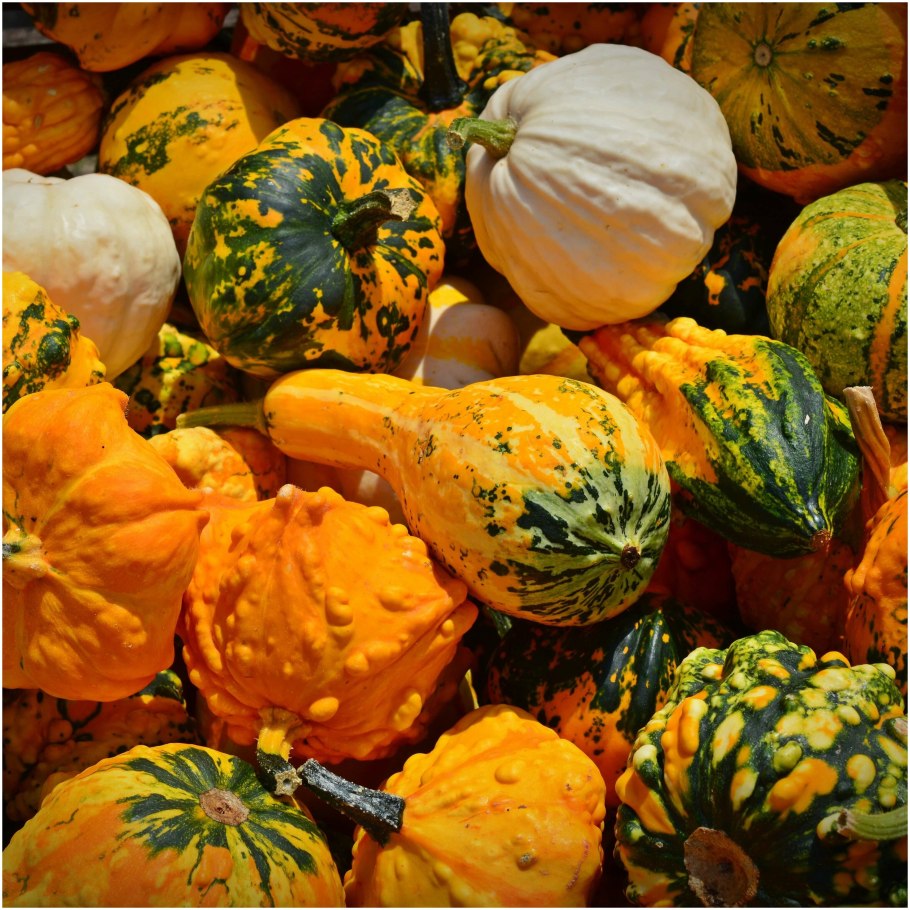 Тыква мускатная резаная