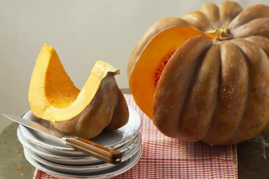 Тыква сорта сладкий каштан