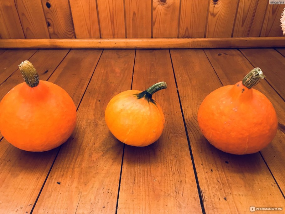 Тыква с орехами