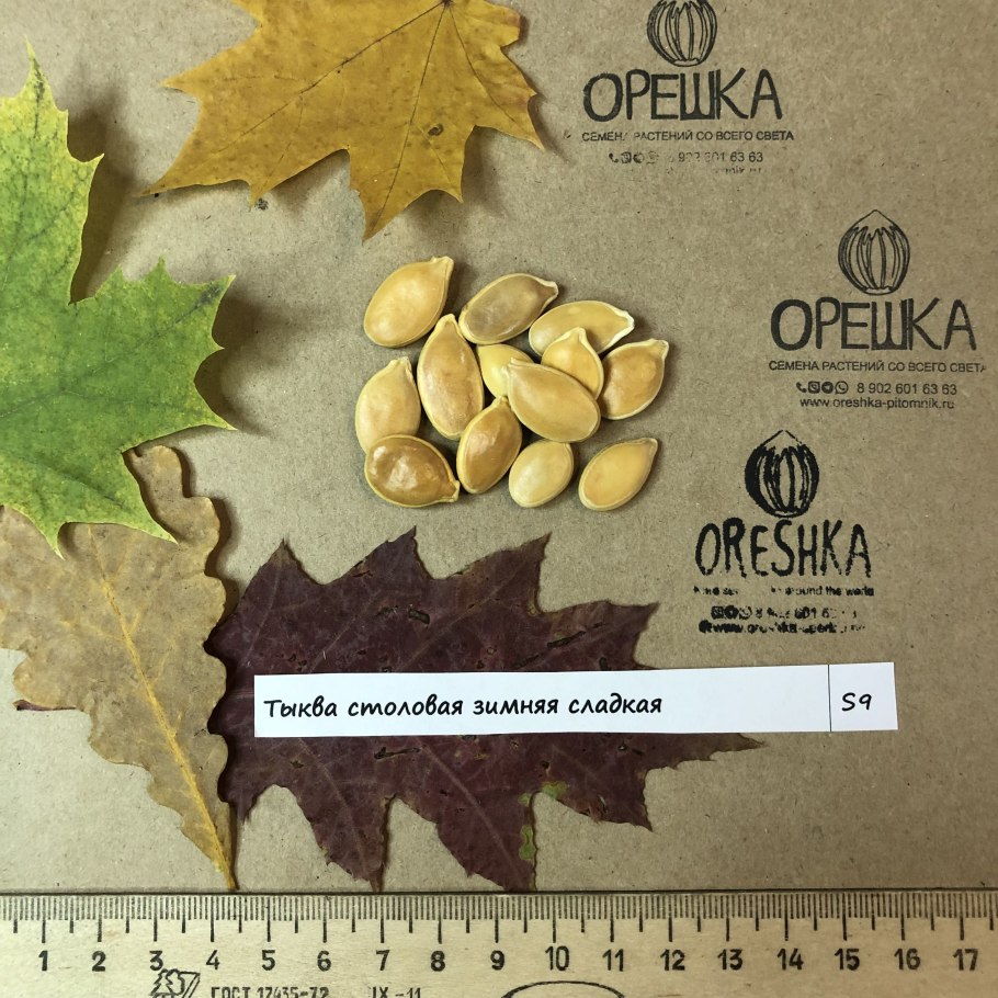 Тыква крупноплодная сорта