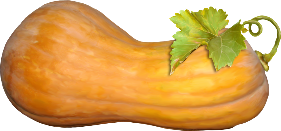 Тыква жареная с орешками ресторанная подача