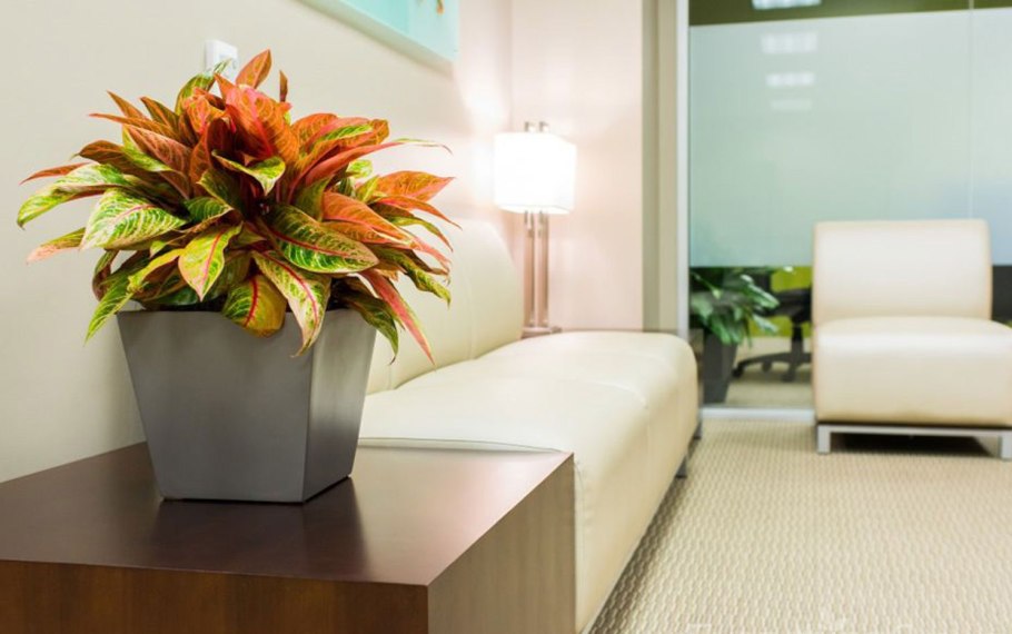 Гацания и газания