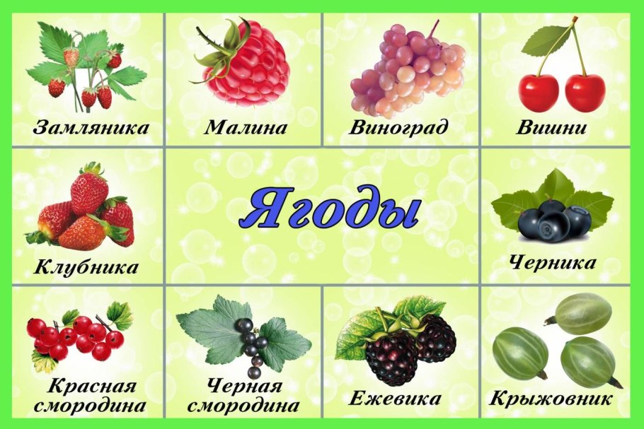Карточки с изображением растений