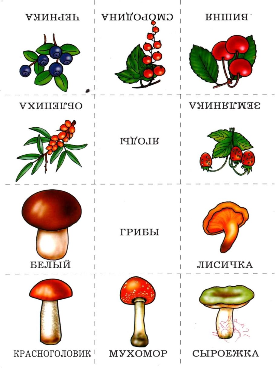Памятка ядовитые грибы и ягоды
