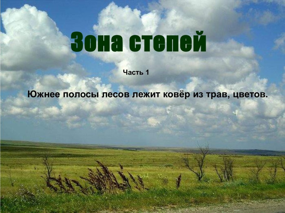 Экологическая обстановка в степи