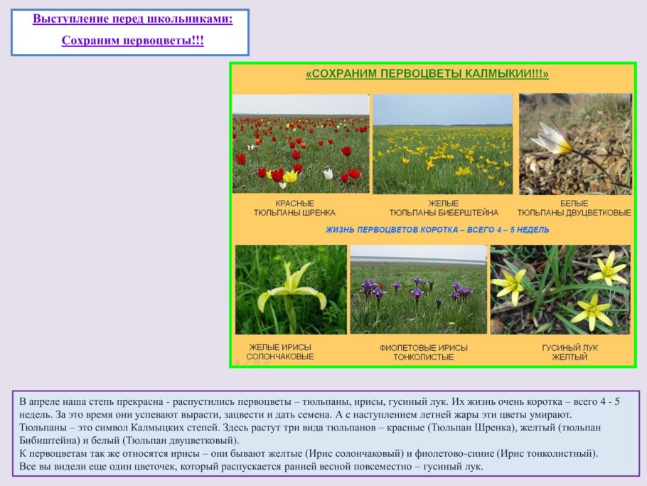 Климатические зоны России для дошкольников