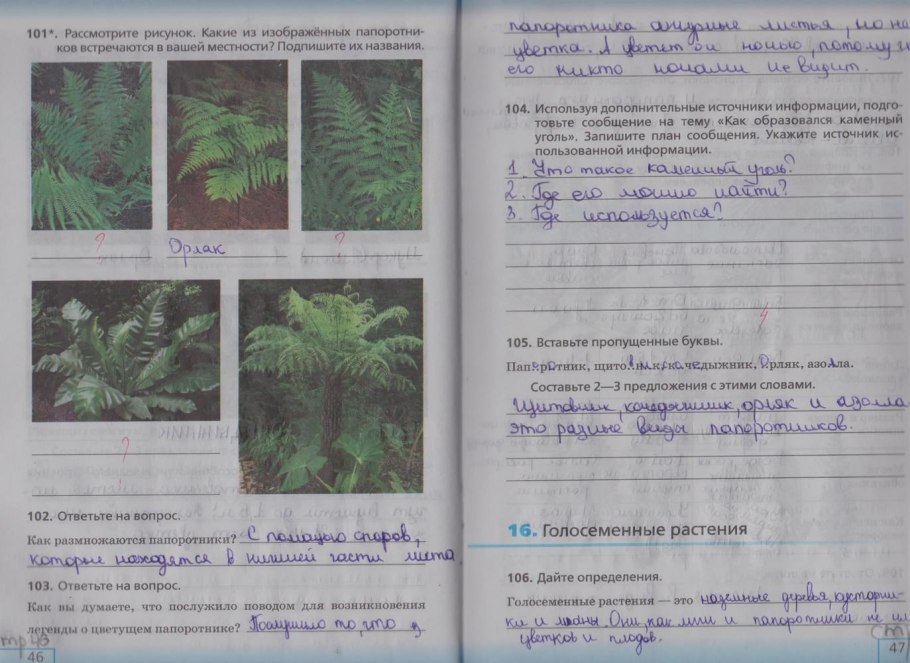 Биология 5 класс рабочая тетрадь школа России