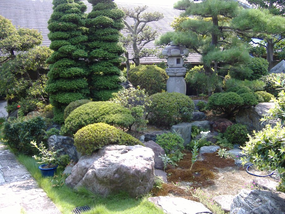 Эль Иерро деревья