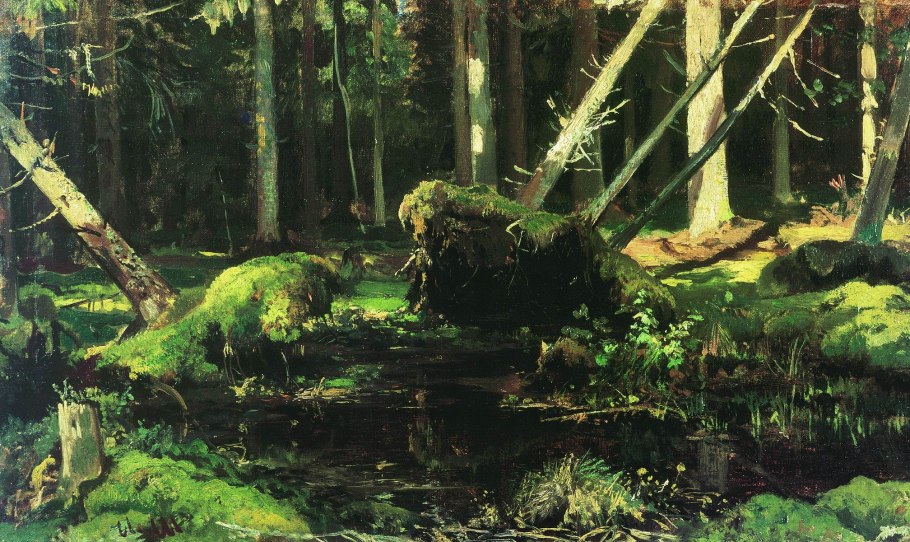 Таежно-Болотное озеро