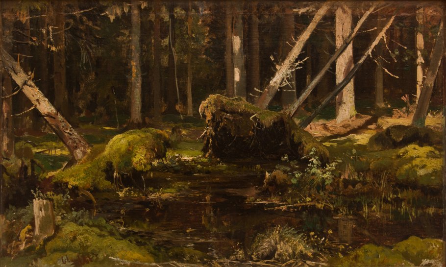 Дубненский болотный массив