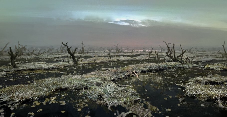 Старое поваленное дерево