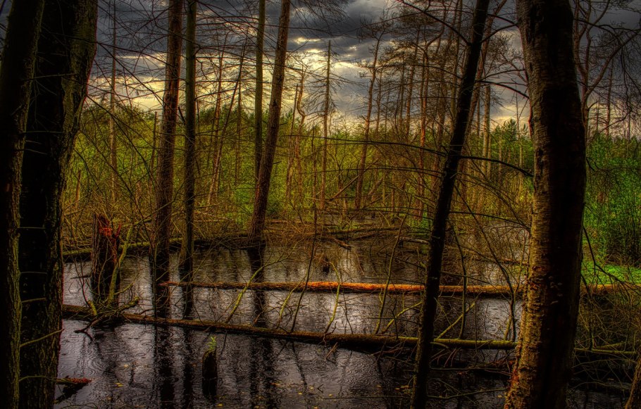 Болота для жизни