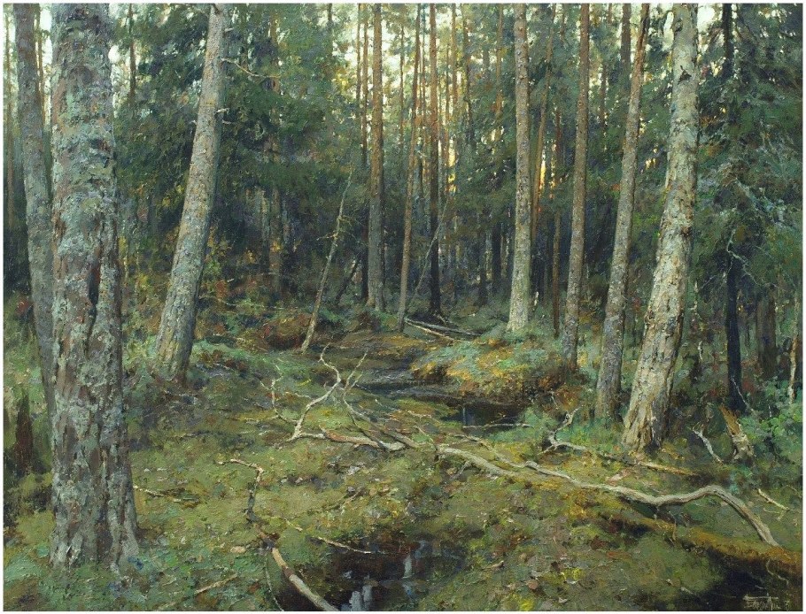 Дремучий лес