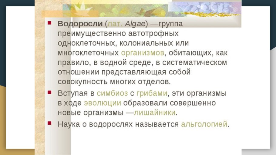 Строение побега сосны обыкновенной