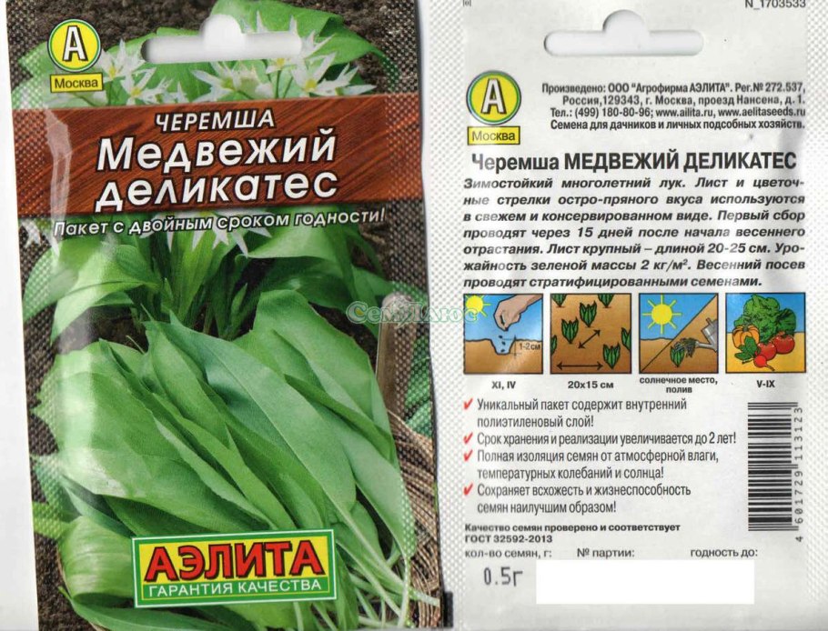 Черемша (Медвежий лук)