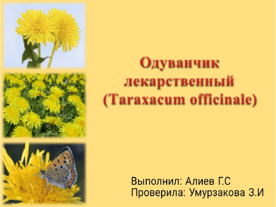 Генетический критерий вида примеры