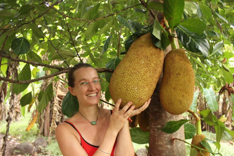Breadfruit