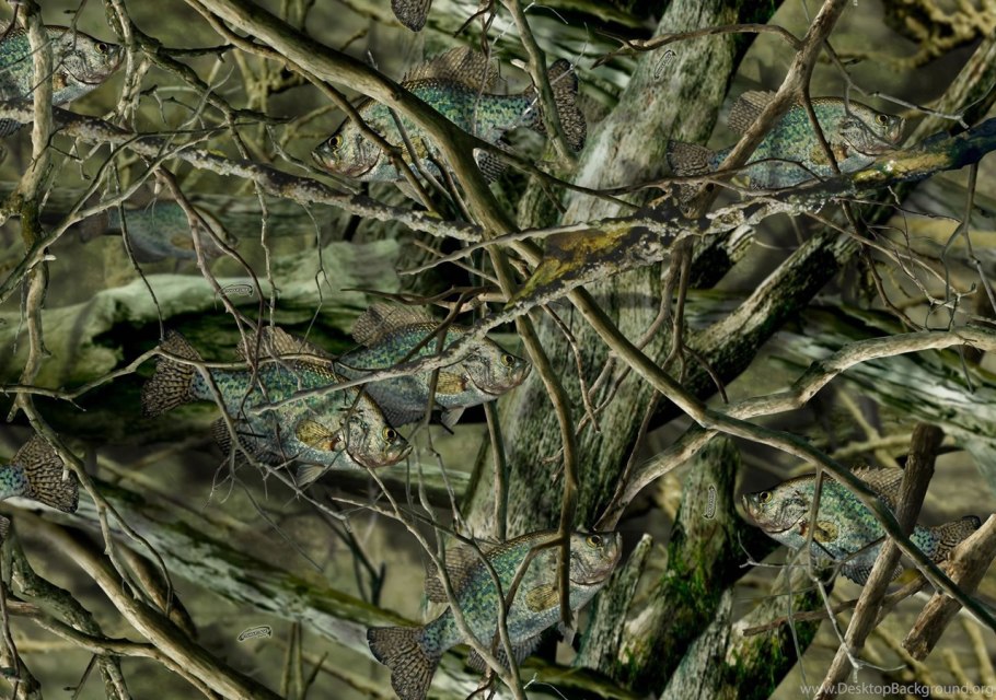 Камуфляж Сельва