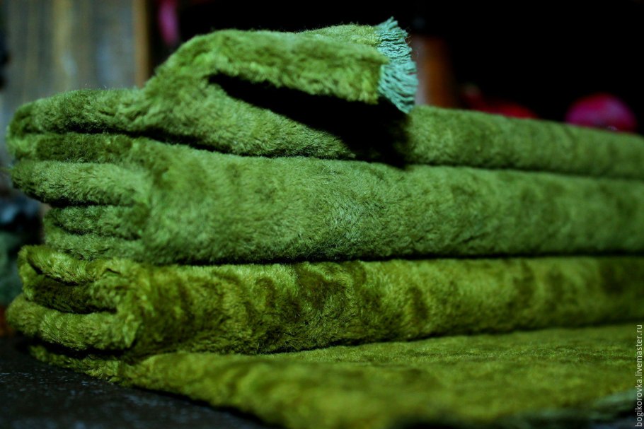 Клетки фотосинтезирующей ткани элодеи