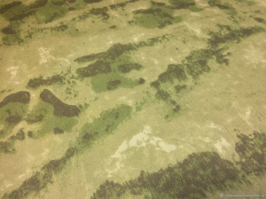 Мох сфагнум под микроскопом