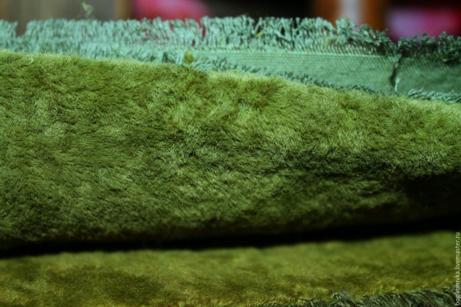 Лист сфагнума под микроскопом