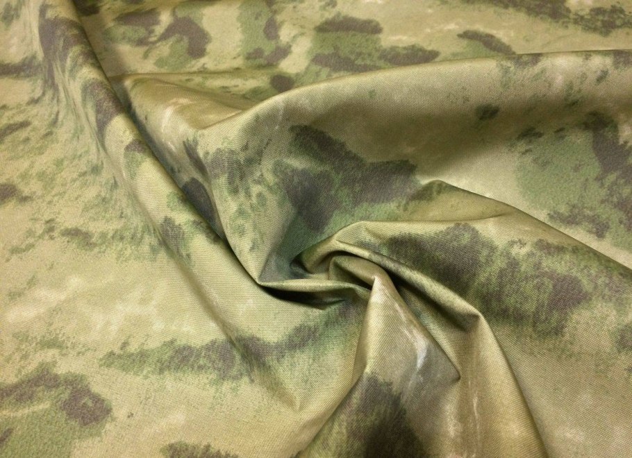 Внешнее строение папоротника щитовника