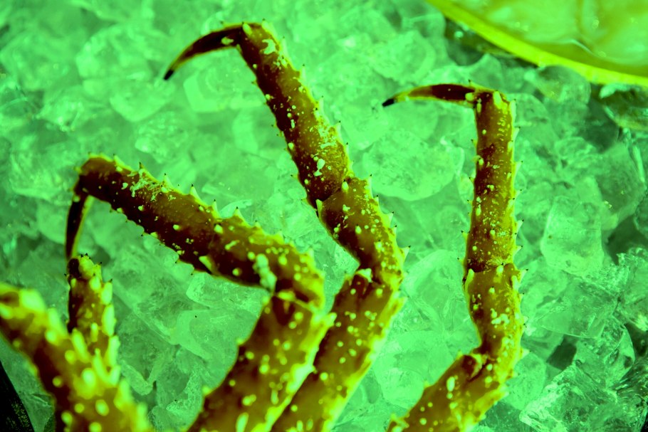 Водоросли Приморья