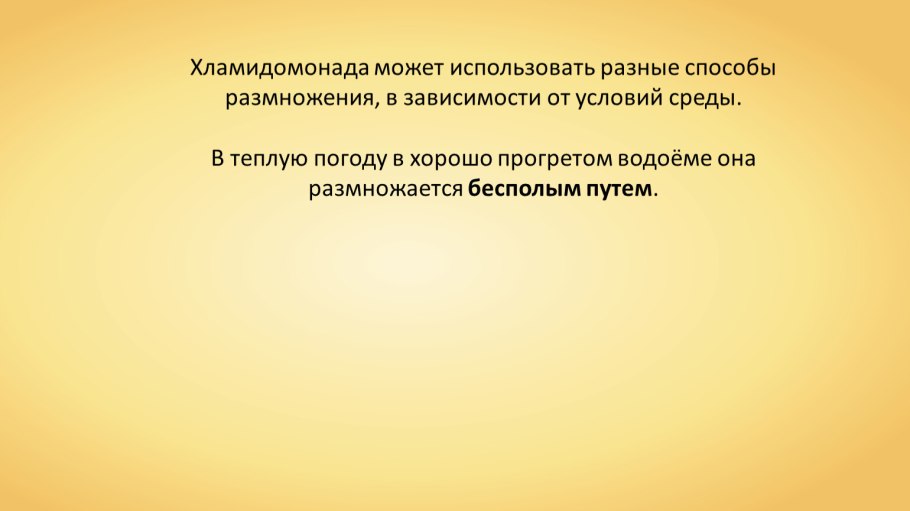 Жизненный цикл мха
