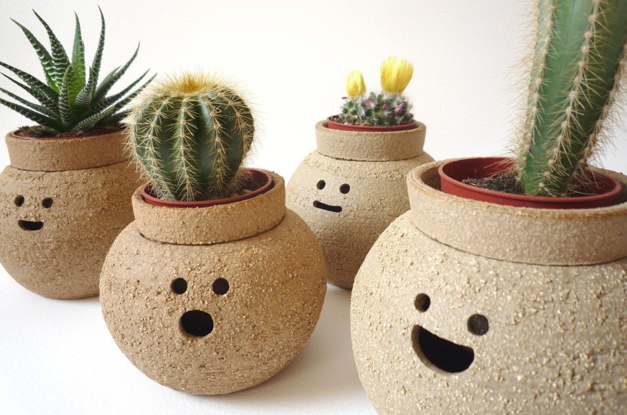 Необычные цветочные горшки