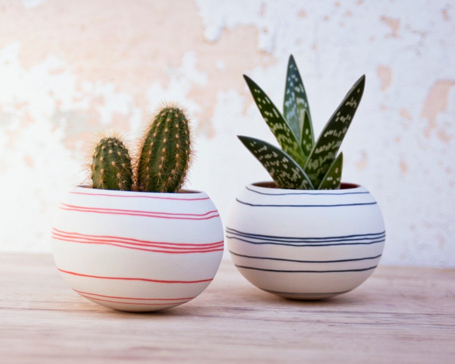 Кашпо Эстетика