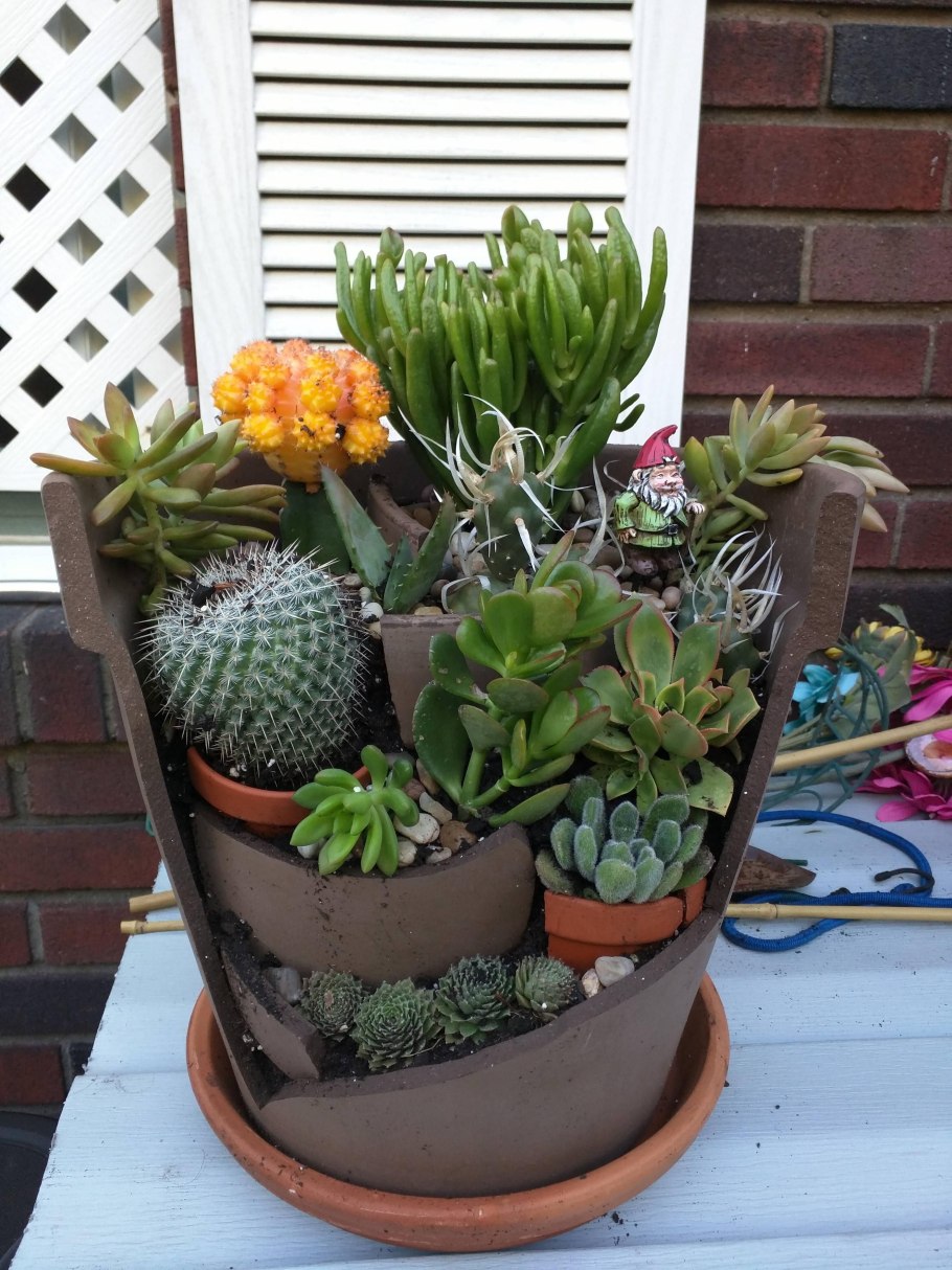 Горшки для кактусов и суккулентов