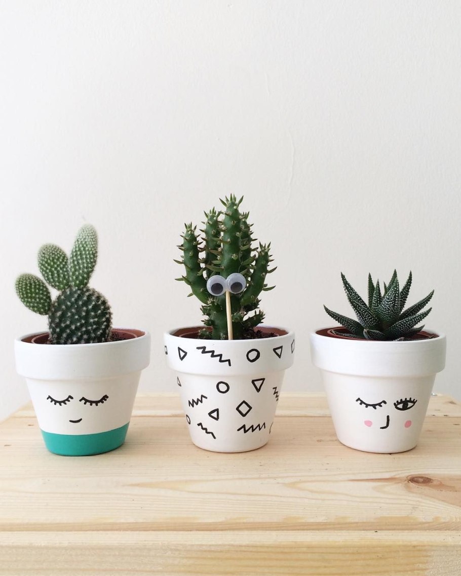 Красивый Кактус в горшке