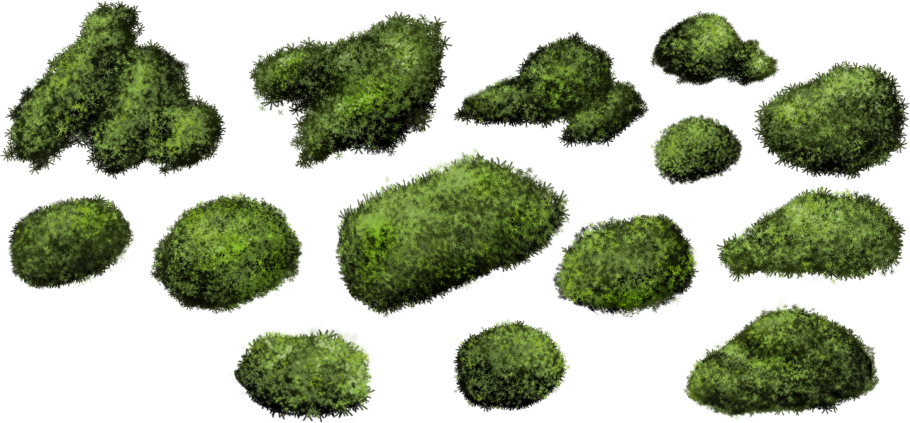 Сферокарповые мхи