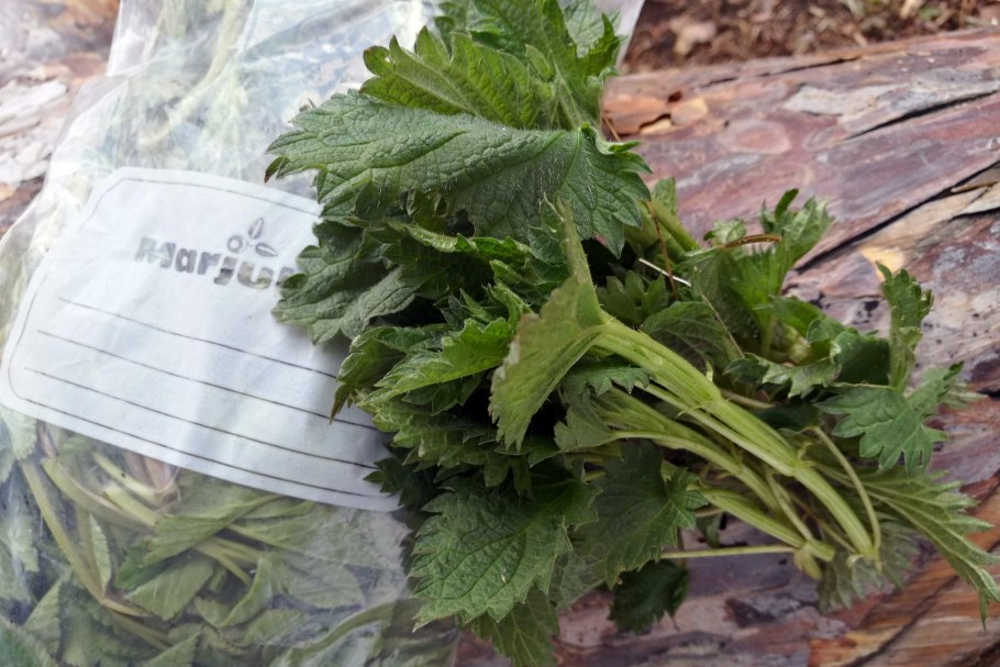 Суп с зеленью