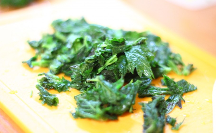 Чай из щавеля