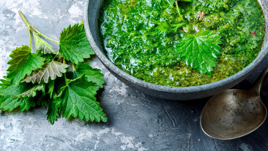 Зелёный борщ с щавелем