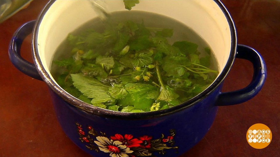 Измельченное сырье крапивы двудомной