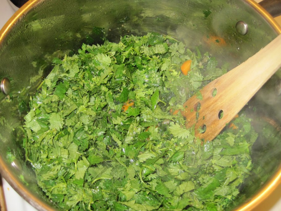 Блюда из щавеля свежего