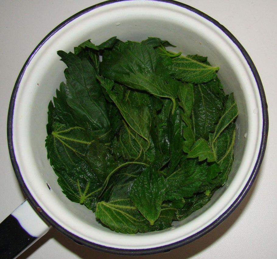 Крапива зелень в салате