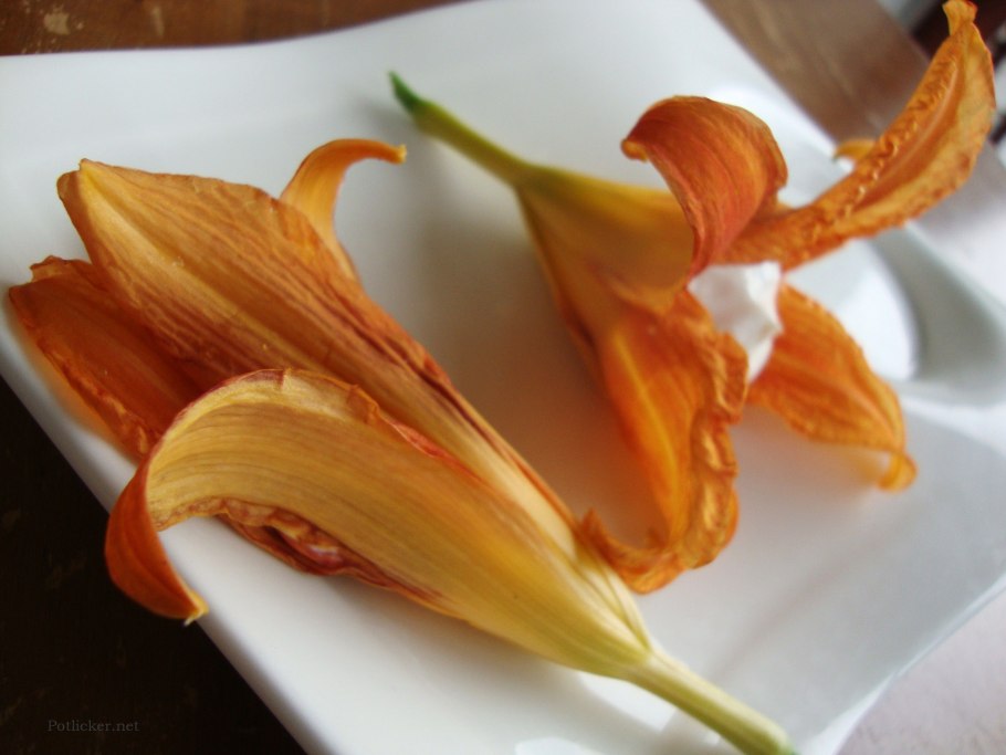 Лилейник ‘Europa’