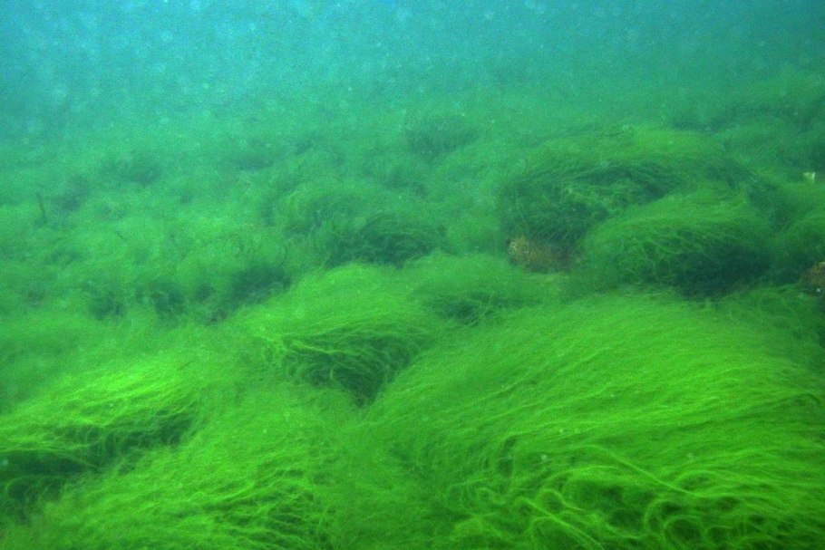 Географическое положение черного моря