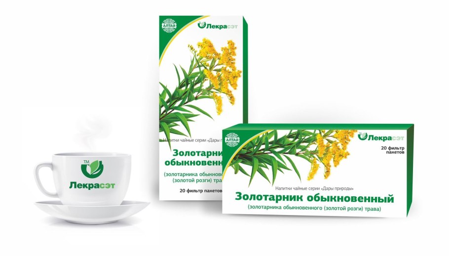 Растение золотарник обыкновенный