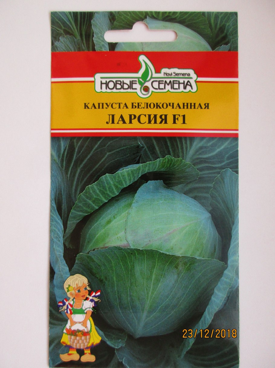 Капуста белокочанная Ларсия