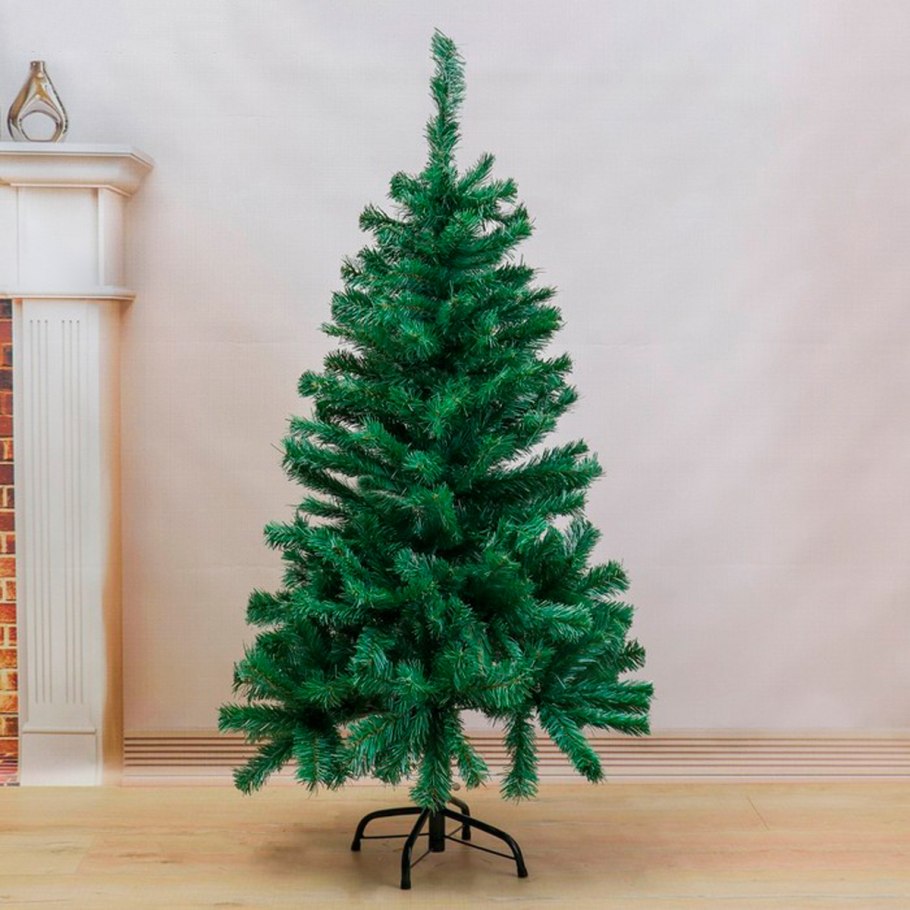 Ель колючая Picea pungens