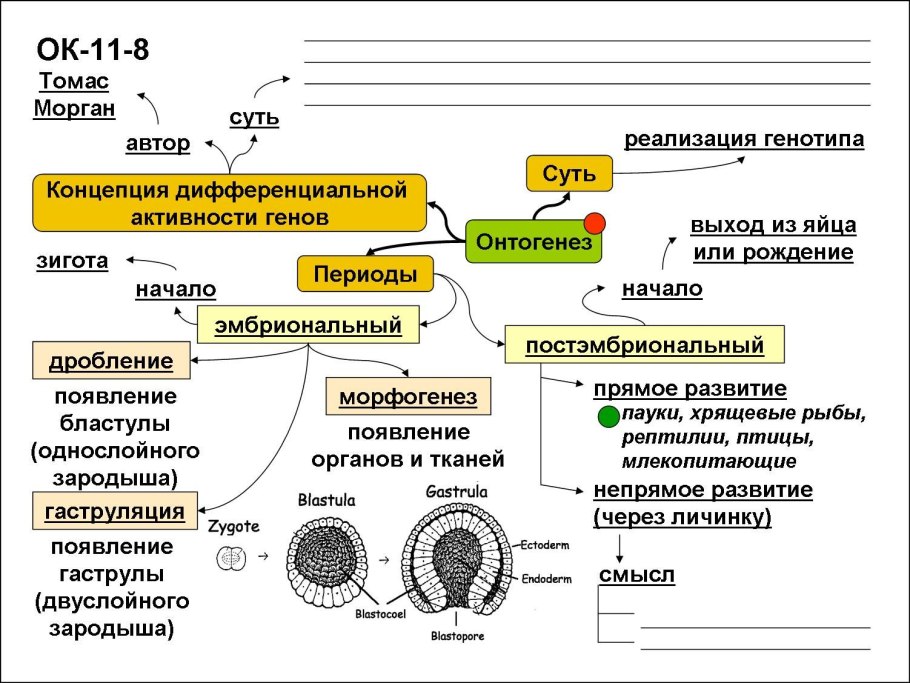 Размножение растений семенами. Распространение плодов и семян.